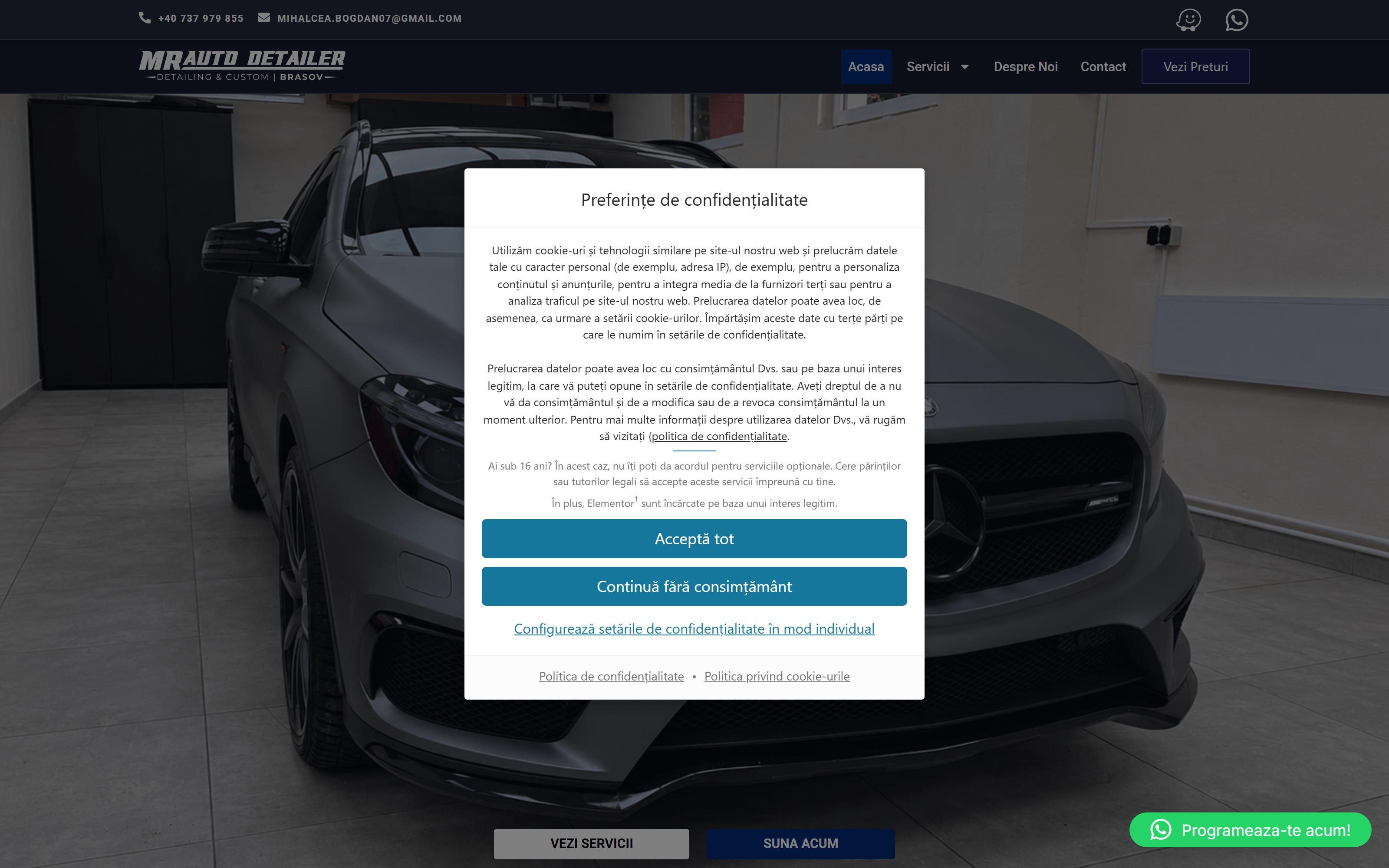 Preview MR Auto Detailer